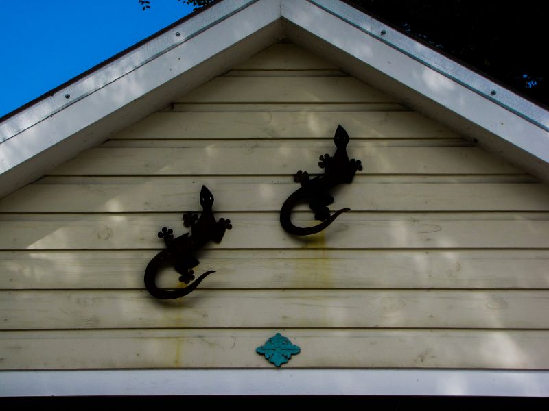 Shiplap Siding Repair