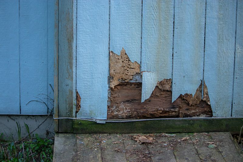 Emergency Siding Repair Teams